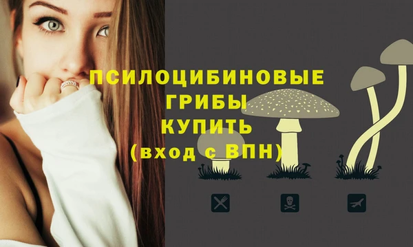 ешки Богородицк